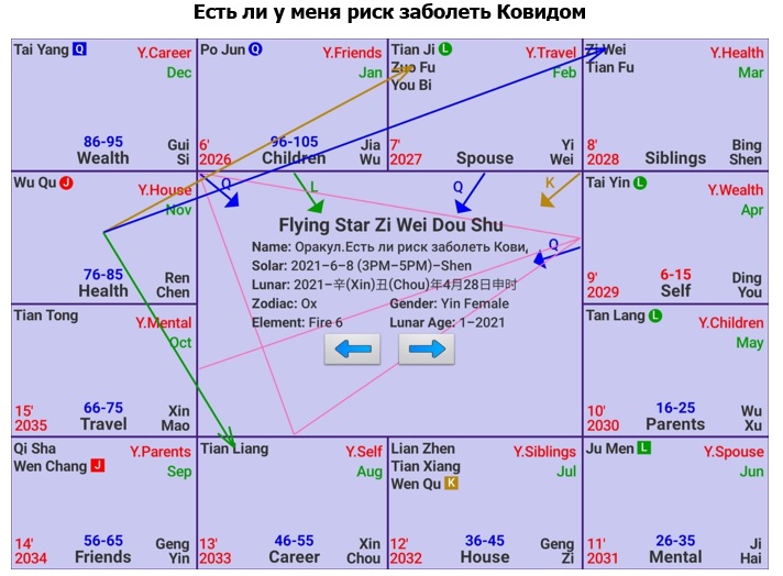 Оракул здоровье. Яриск.